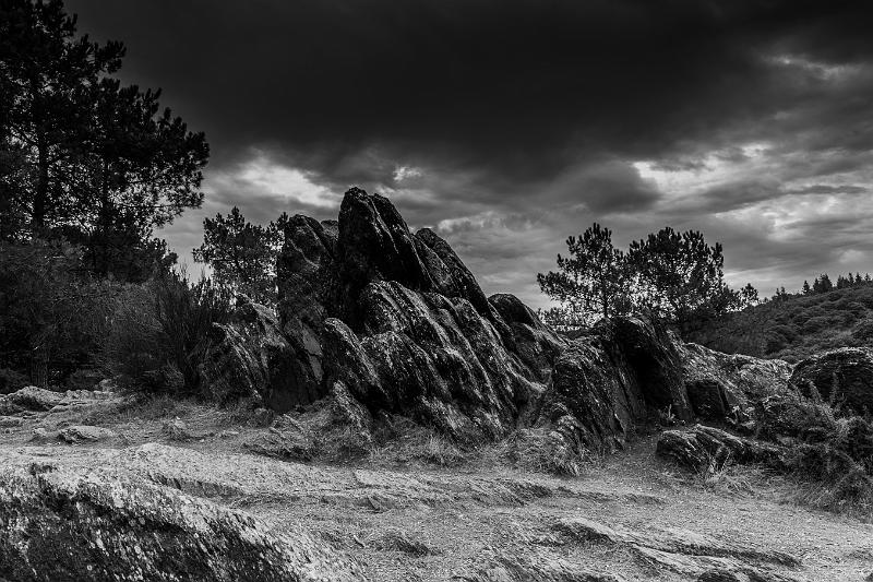 2019_09_09_Bretagne (0004).jpg - Brocéliande (Tréhorenteuc septembre 2019)